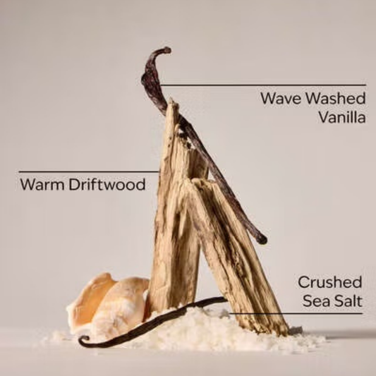 Bath & Body Works Body Lotion - Coastal Dreaming