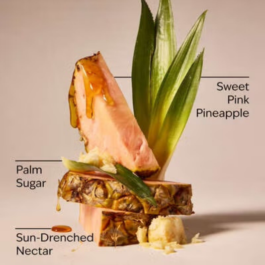 Bath & Body Works Wallflower Refill - Pink Pineapple Sunrise
