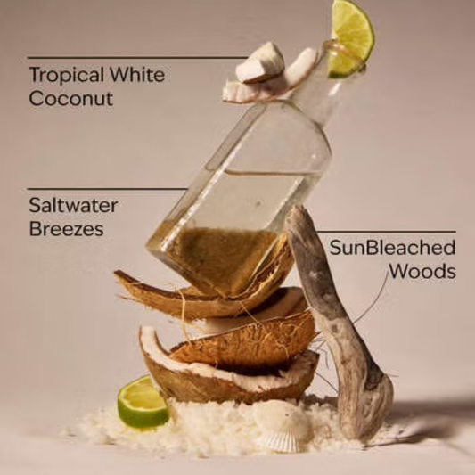 Bath & Body Works Wallflower Refill - Waikiki Beach Coconut