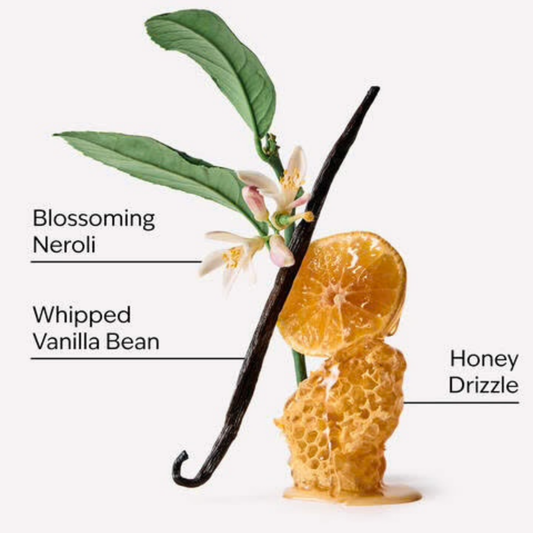 Bath & Body Works PocketBac - Whipped Honey & Vanilla