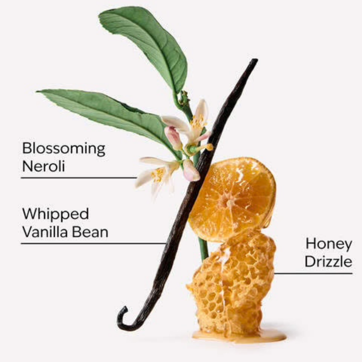 Bath & Body Works PocketBac - Whipped Honey & Vanilla