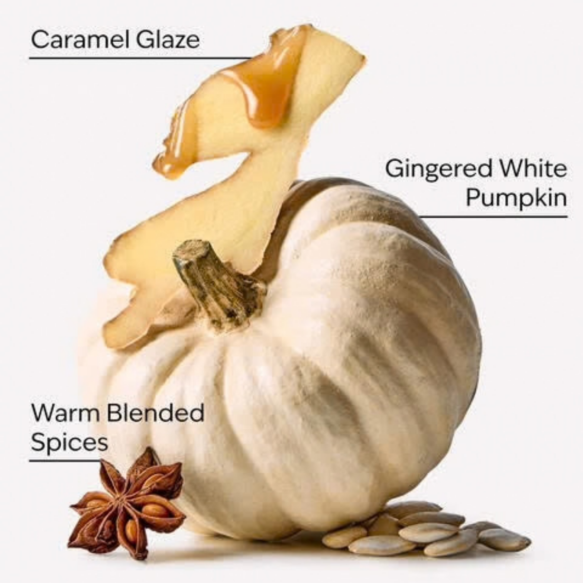 Bath & Body Works PocketBac - White Pumpkin