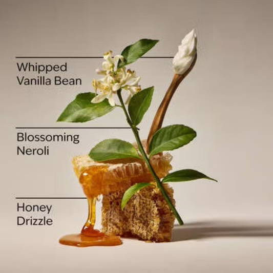 Bath & Body Works Wallflower Refill - Whipped Honey & Vanilla