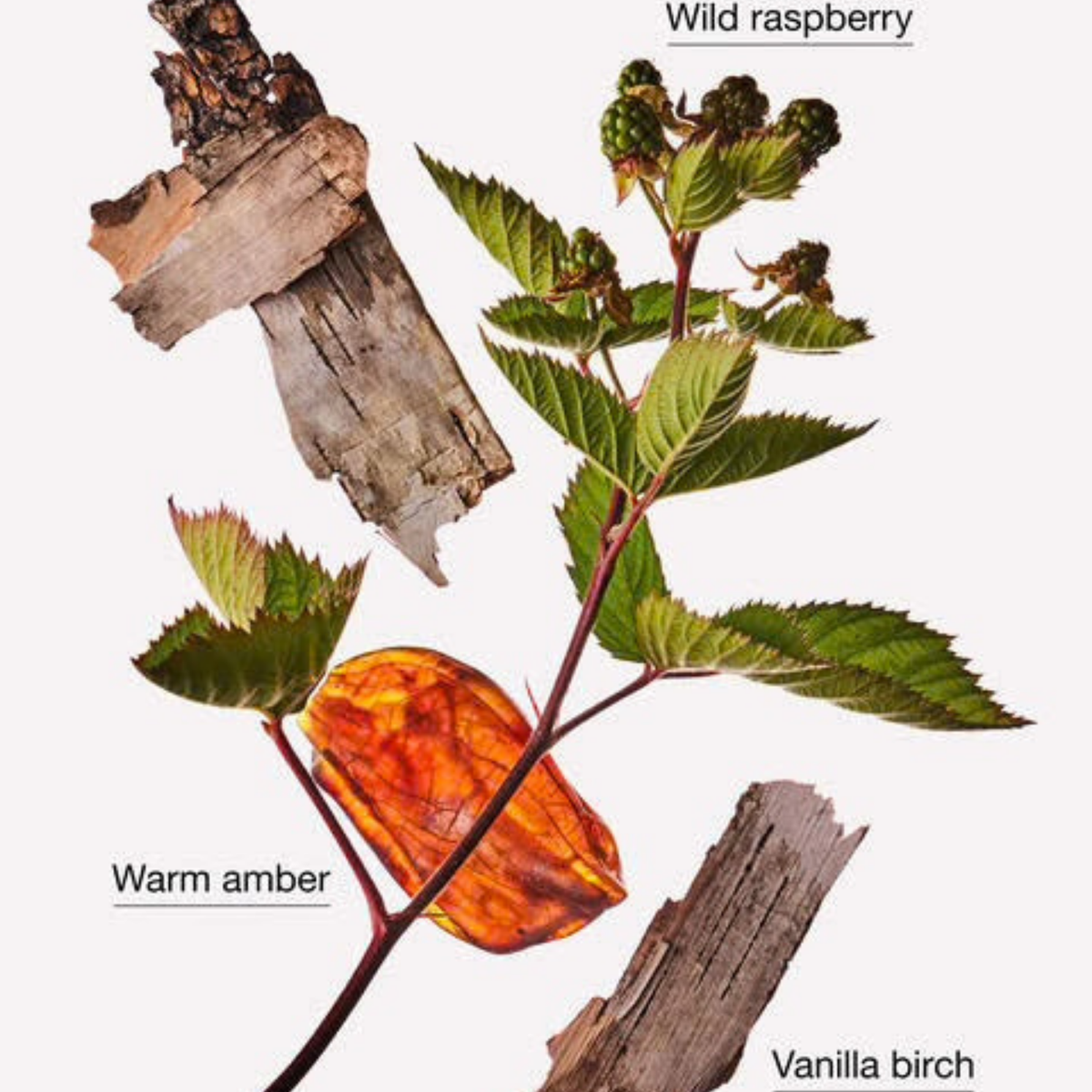 Bath & Body Works Car Fragrance Refill - Autumn Drive
