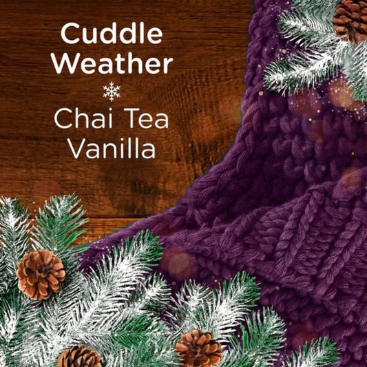 Downy Laundry Scent Booster Beads Cozy Collection - Cuddle Weather