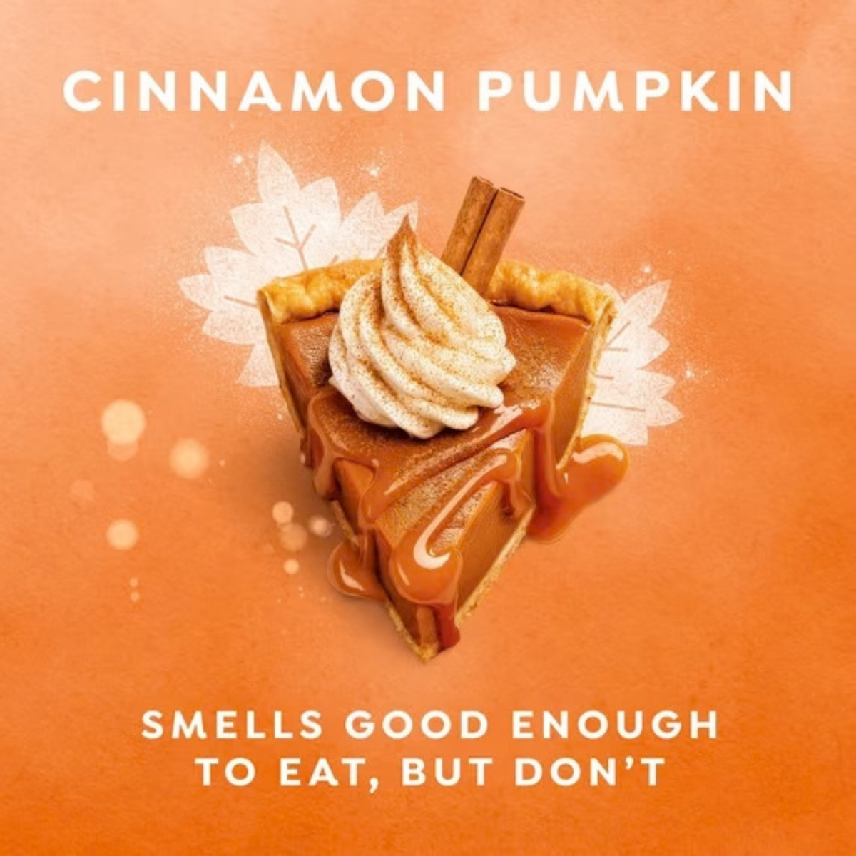 Dove Hand Soap - Cinnamon Pumpkin