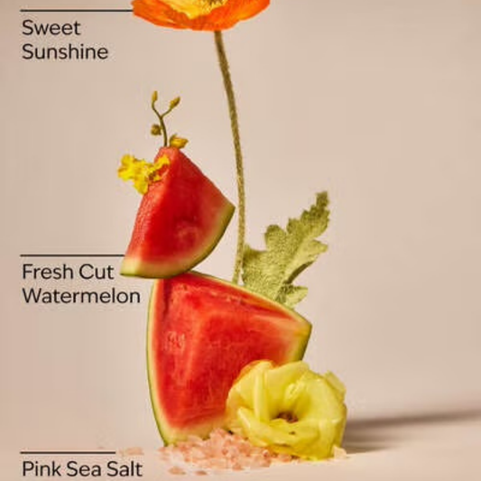 Bath & Body Works PocketBac - Fresh Watermelon