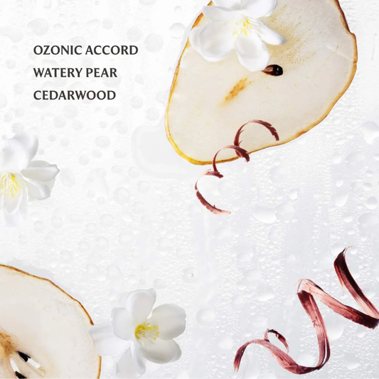 Touchland Power Mist Hand Sanitiser - Rainwater