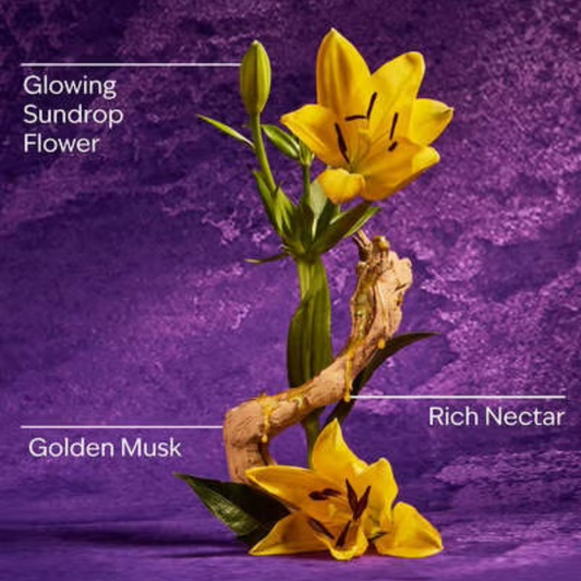 Bath & Body Works x Disney Princess Rapunzel Lipgloss