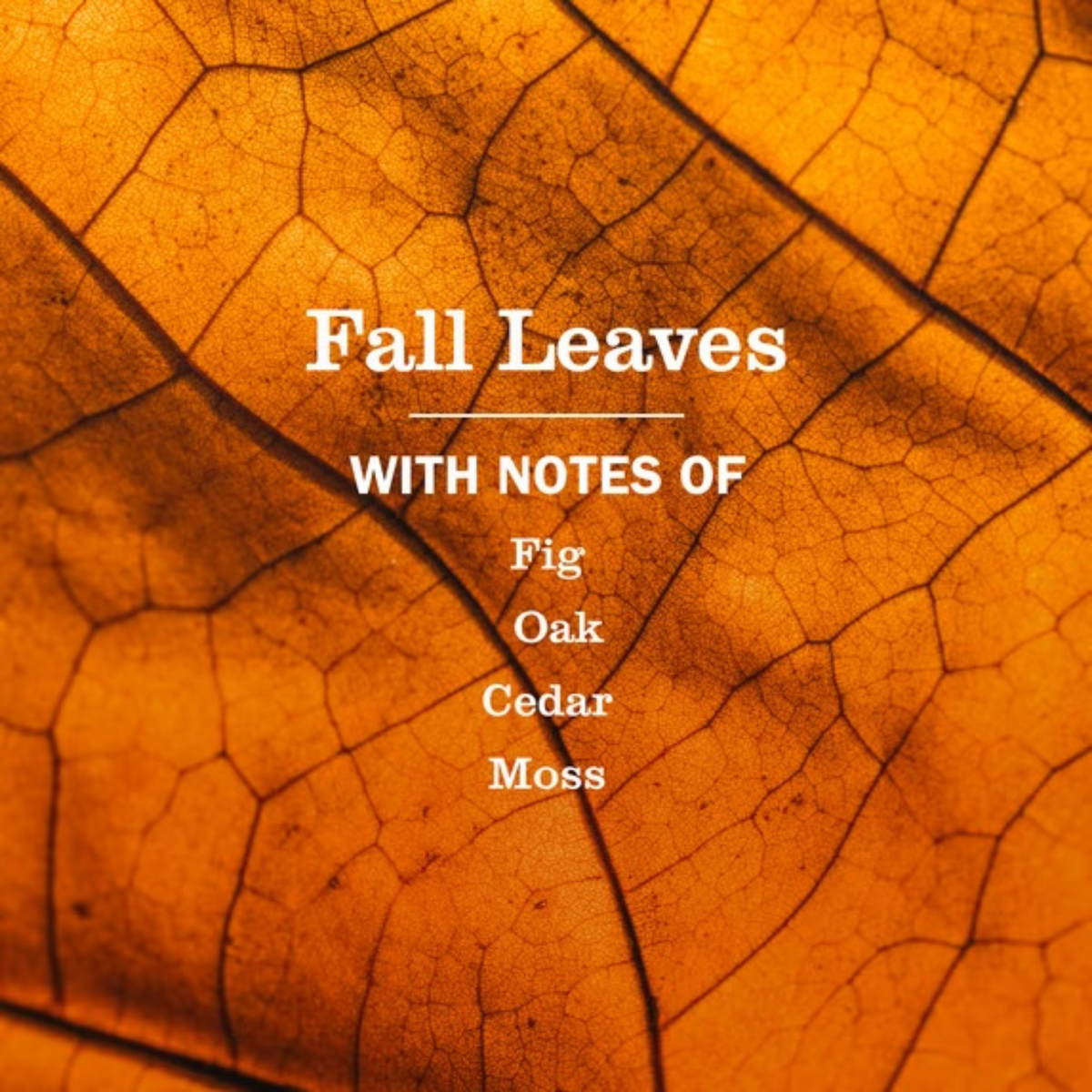 Mrs Meyers Hand Soap - Fall Leaves
