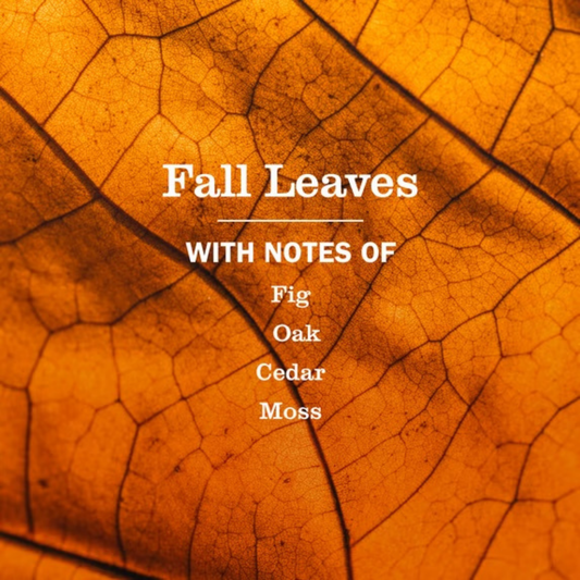 Mrs Meyers Dish Soap - Fall Leaves