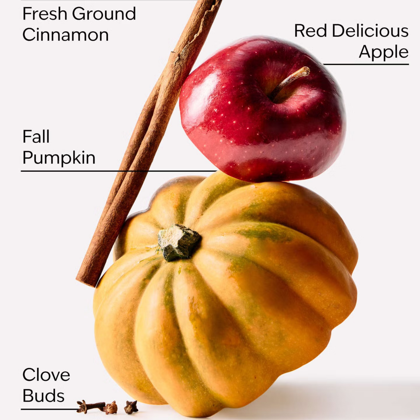 Bath & Body Works PocketBac - Pumpkin Apple