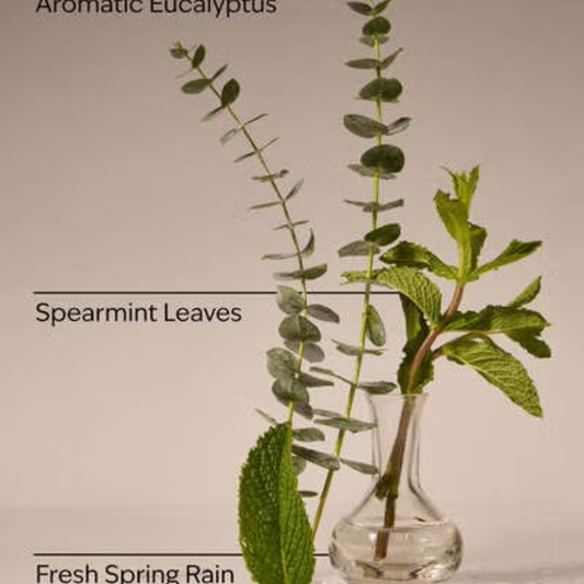 Bath & Body Works PocketBac - Eucalyptus Rain
