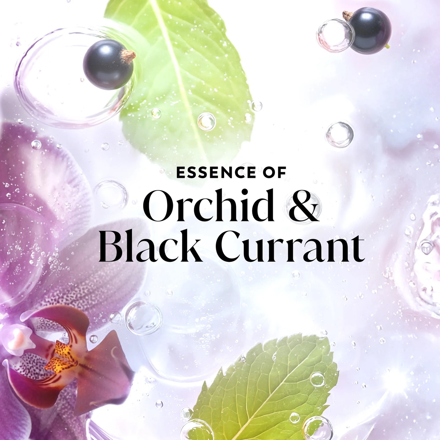Olay Fresh Radiance Body Wash - Orchid & Blackcurrant
