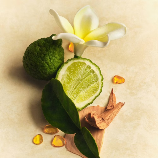 Athena Club Skin Perfecting Body Lotion - Solar Muse