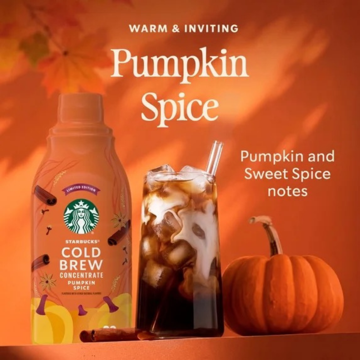 Starbucks Cold Brew Concentrate - Pumpkin Spice