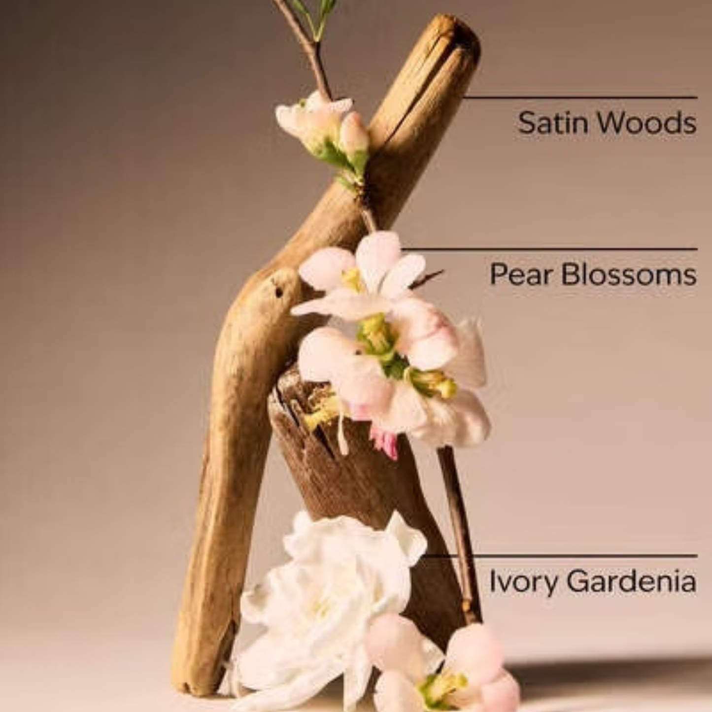 Bath & Body Works Body Mist - Dressed In White