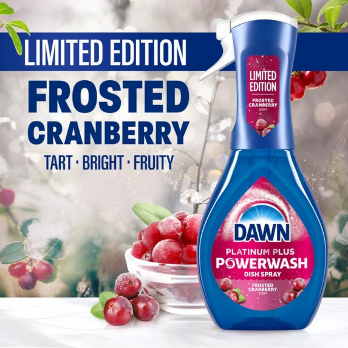 Dawn Powerwash Dish Spray - Frosted Cranberry