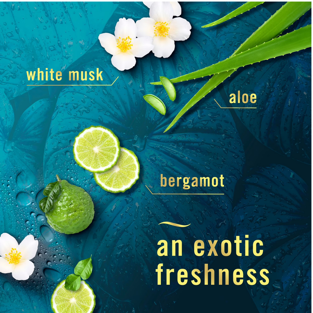 Febreeze Air Freshener Spray - Rainforest