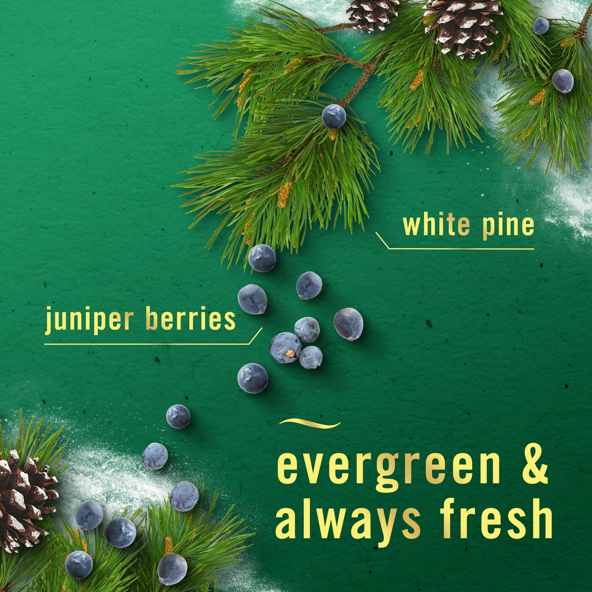 Febreeze Air Freshener Spray - White Pine & Juniper Berry
