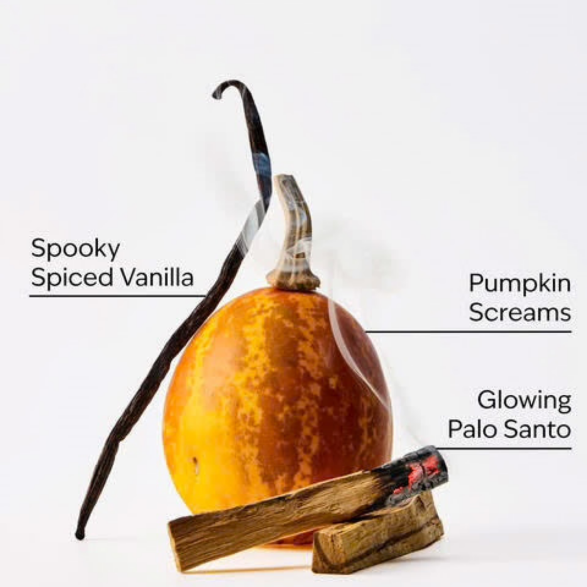 Bath & Body Works x Nightmare Before Christmas PocketBac - Jack Skellington