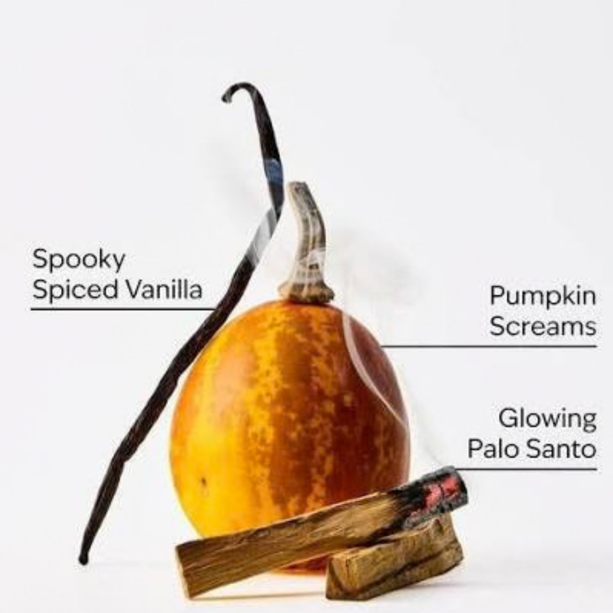 Bath & Body Works x Nightmare Before Christmas Body Mist - Jack Skellington