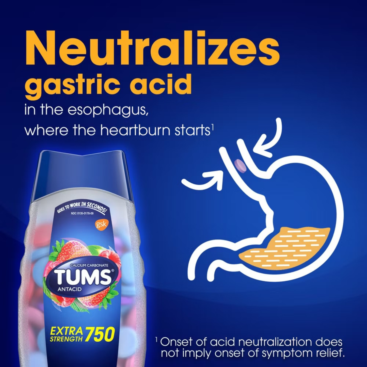 TUMS Extra Strength Chewable Antacid - Assorted Berries