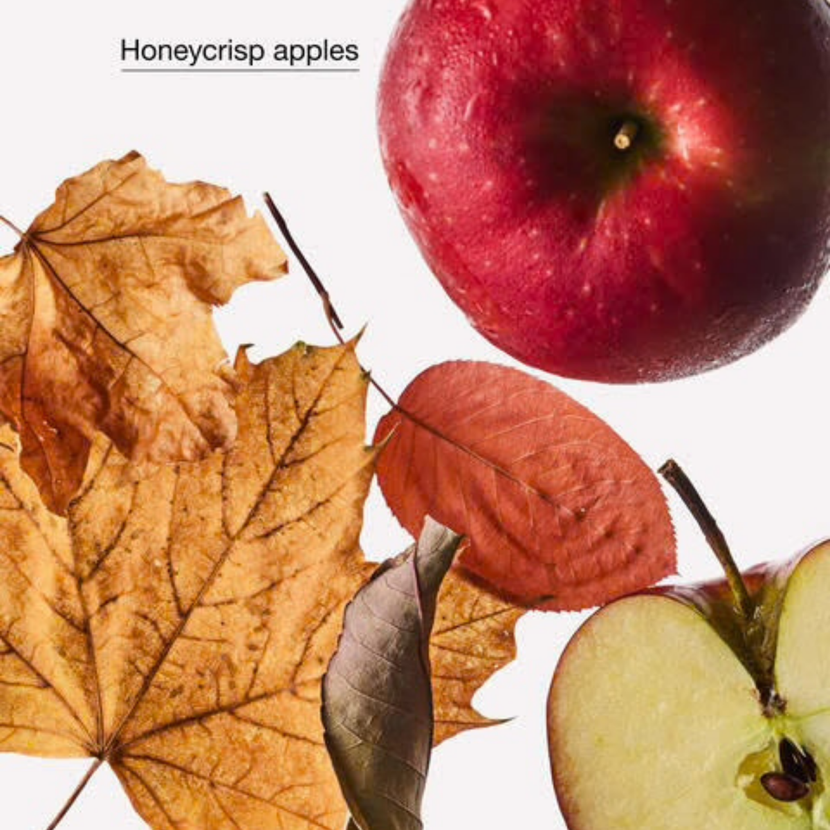 Bath & Body Works PocketBac - Honeycrisp Hayride
