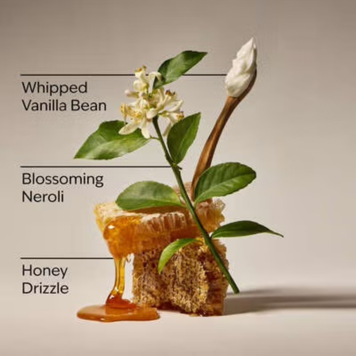 Bath & Body Works Wallflower Refill - Whipped Honey & Vanilla