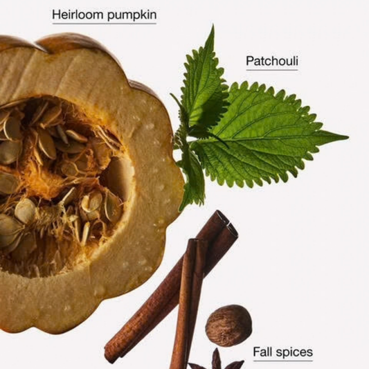 Bath & Body Works Car Fragrance Refill - Farmhouse Pumpkin & Spice