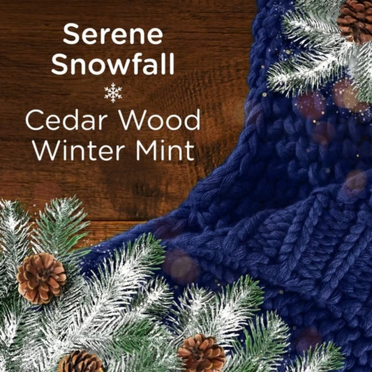 Downy Laundry Scent Booster Beads Cozy Collection - Serene Snowfall