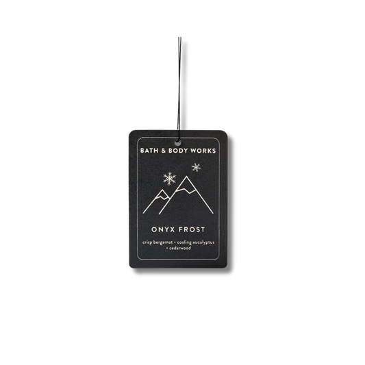 Bath & Body Works Hanging Fragrance Diffuser - Onyx Frost