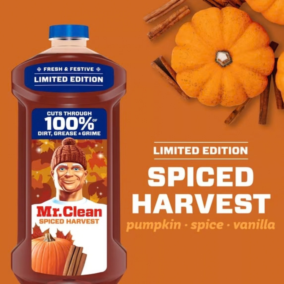 Mr Clean Multi Surface Cleaner - Spiced Harvest