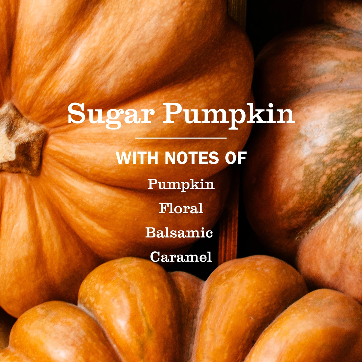 Mrs Meyers Dish Soap - Sugar Pumpkin