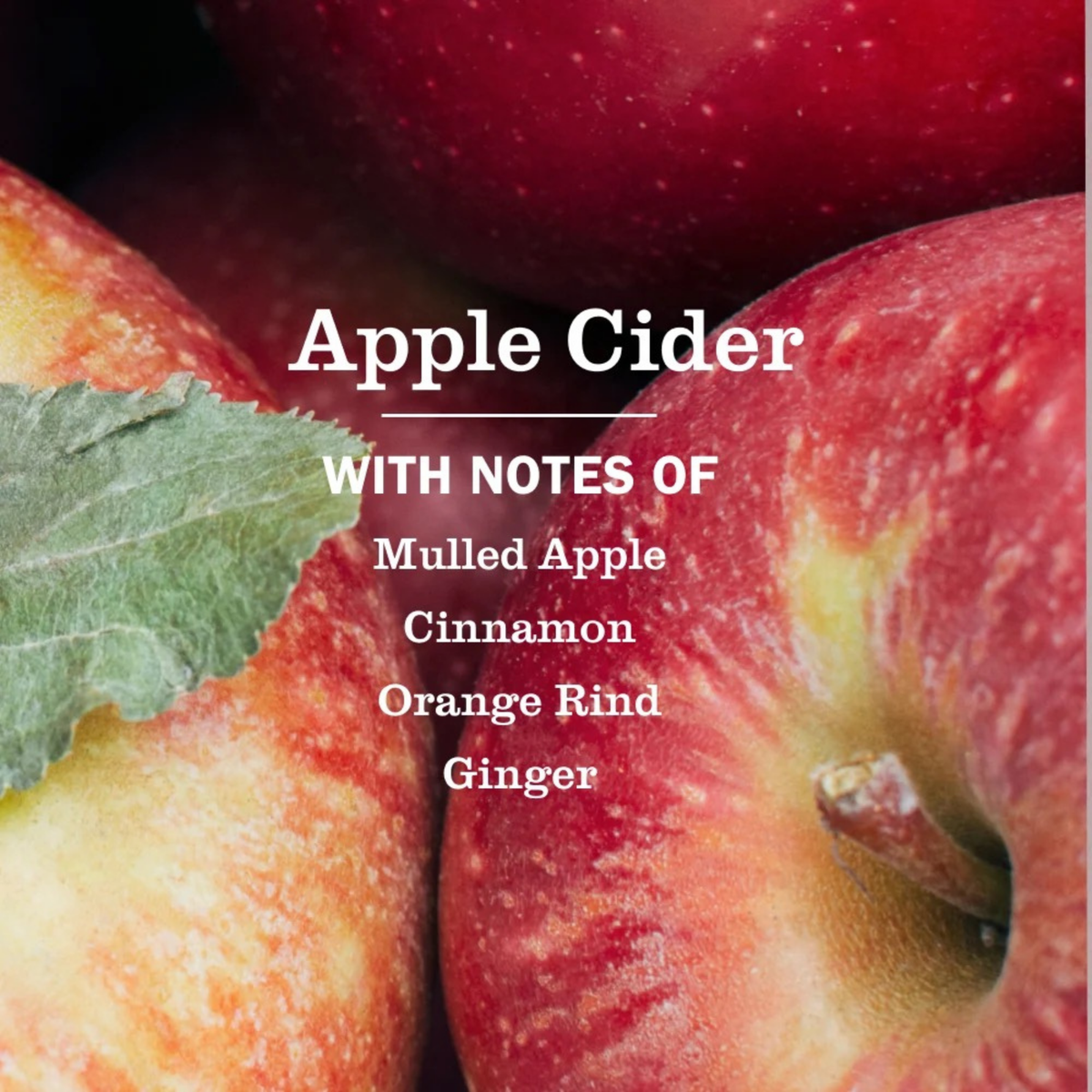 Mrs Meyers Hand Soap - Apple Cider