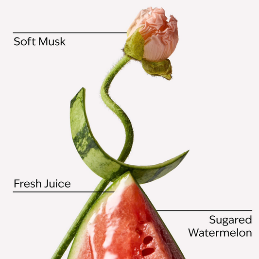 Bath & Body Works PocketSpray - Watermelon Swirl