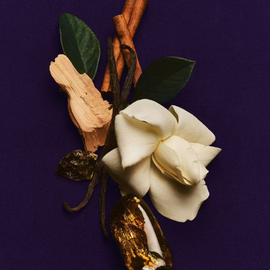 Athena Club Skin Perfecting Body Lotion - Amber Hours