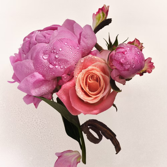 Athena Club Skin Perfecting Body Lotion - Petal Bloom