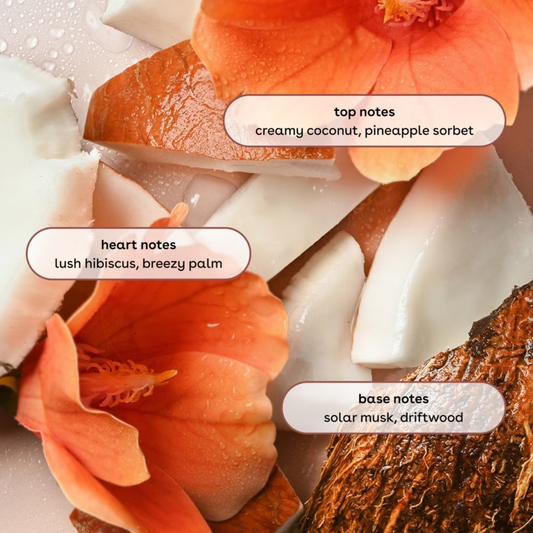 EOS Cashmere Shave Oil - Coconut Waters