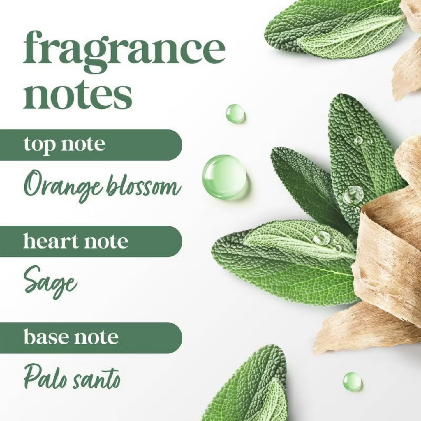 Dove Beauty Scrub - Palo Santo & Sade Oil