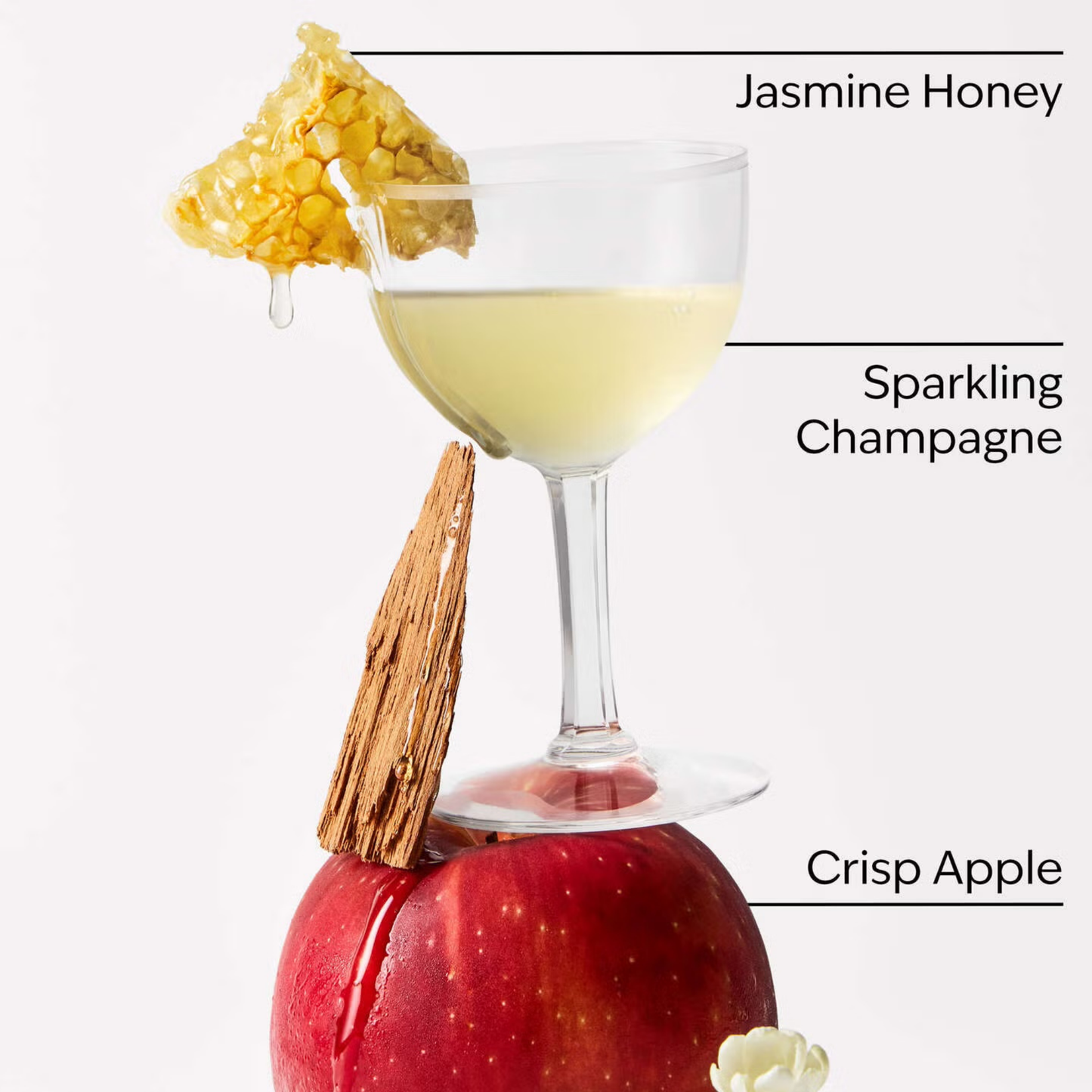 Bath & Body Works PocketBac - Champagne Apple & Honey