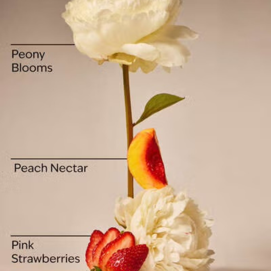 Bath & Body Works 3 Wick Candle - Gingham Gorgeous