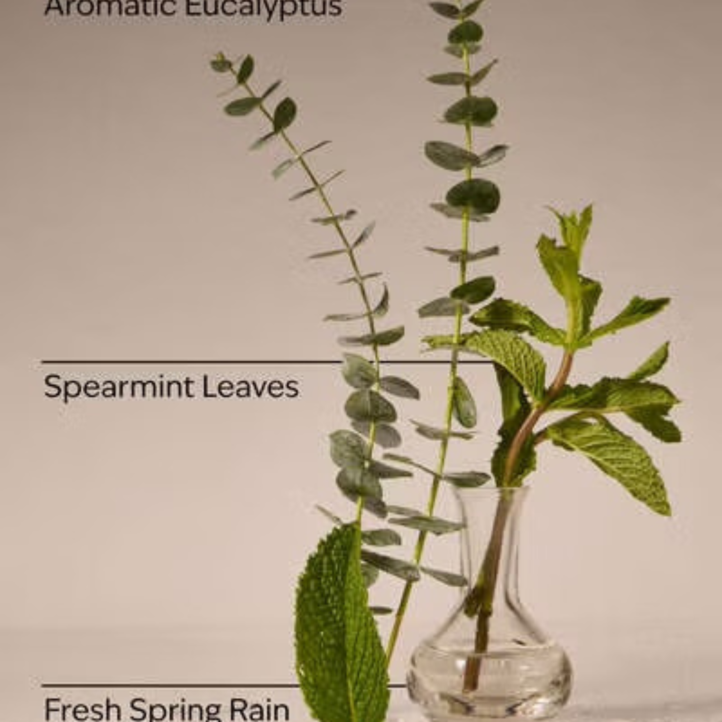 Bath & Body Works PocketBac - Eucalyptus Rain