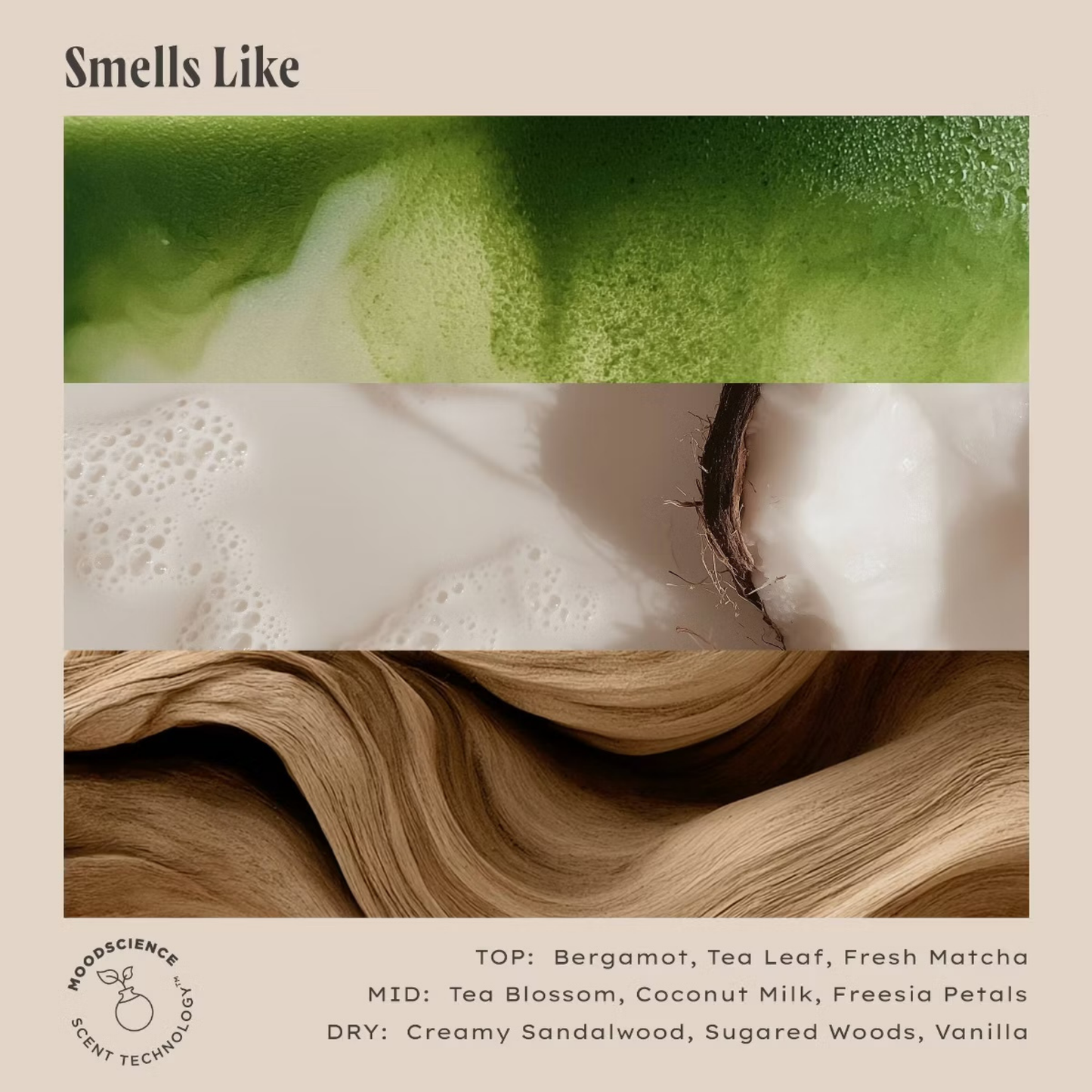 Being Frenshe Lip Balm - Matcha