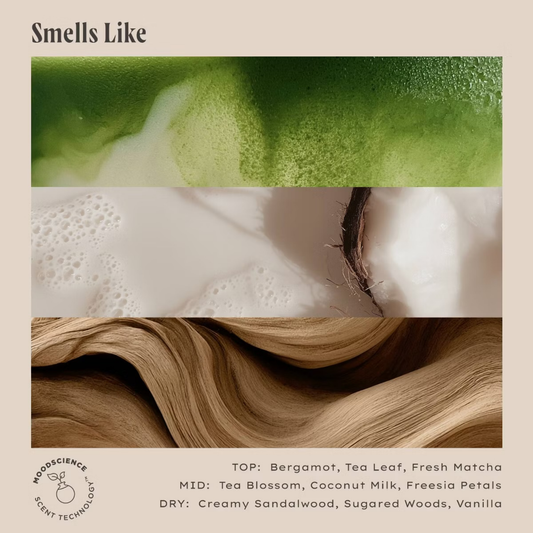Being Frenshe Lip Balm - Matcha