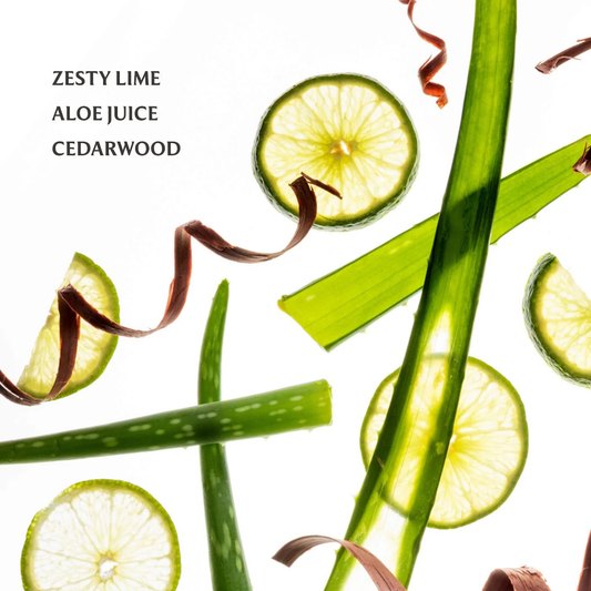 Touchland Power Mist Hand Sanitiser - Aloe You